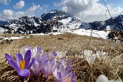 Al Monte Campo e Laghetto di Pietra Quadra da Capovalle-Caprini il 6 aprile 2017 - FOTOGALLERY